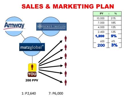 plan marketing amway